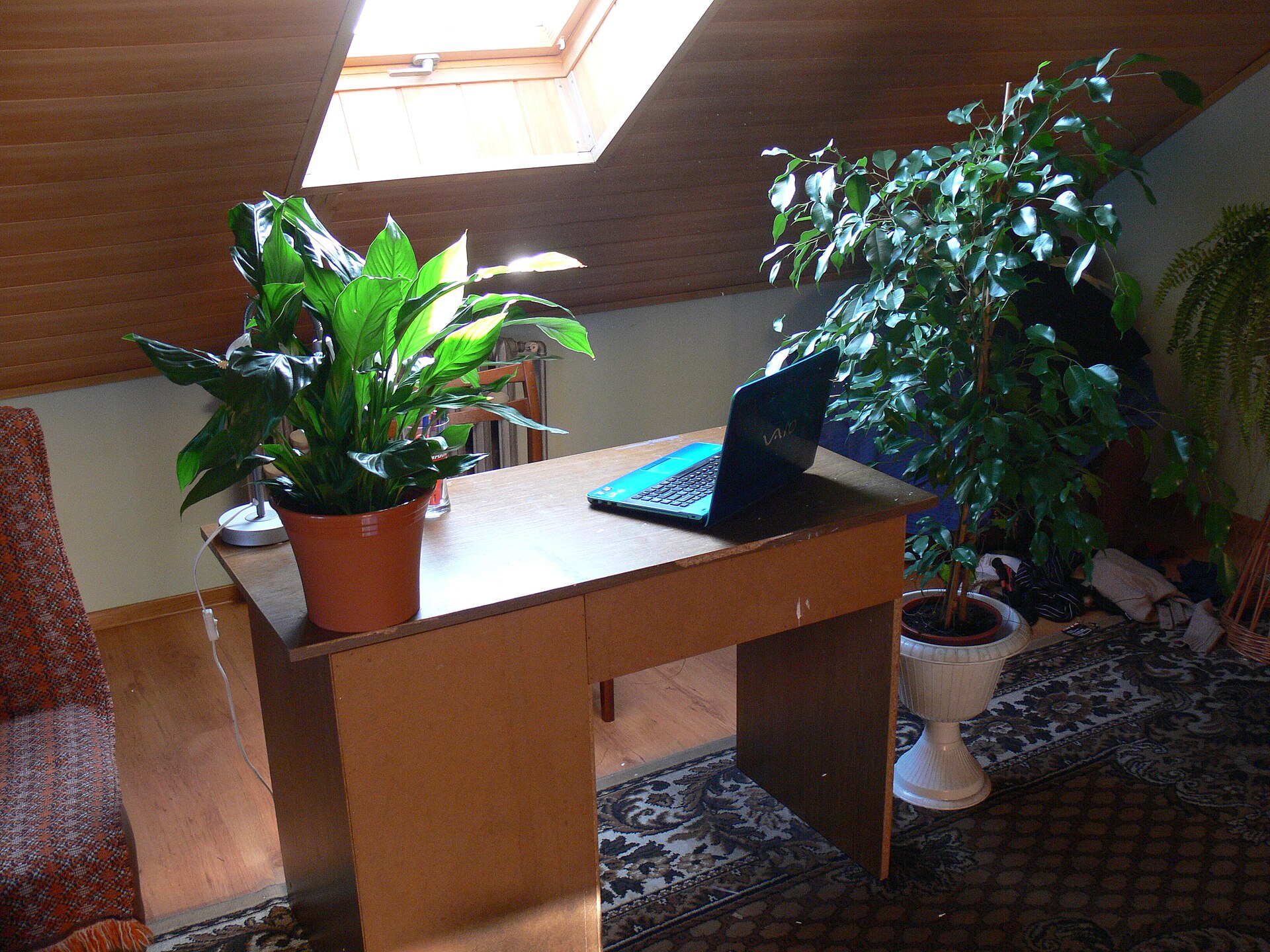 PixelPlants.com Content Site